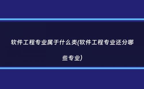 软件工程专业属于什么类(软件工程专业还分哪些专业）