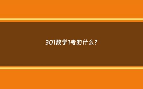 301数学1考的什么？