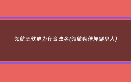 领航王轶群为什么改名(领航魏佳坤哪里人）