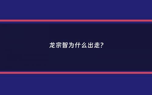 龙宗智为什么出走？