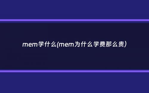 mem学什么(mem为什么学费那么贵）