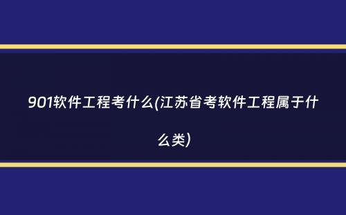 901软件工程考什么(江苏省考软件工程属于什么类）