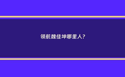 领航魏佳坤哪里人？