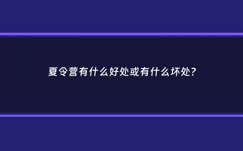 夏令营有什么好处或有什么坏处？