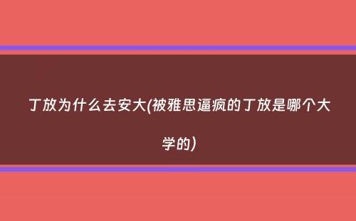 丁放为什么去安大(被雅思逼疯的丁放是哪个大学的）