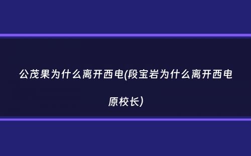 公茂果为什么离开西电(段宝岩为什么离开西电原校长）