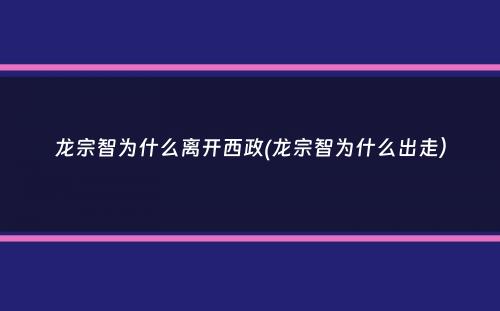 龙宗智为什么离开西政(龙宗智为什么出走）