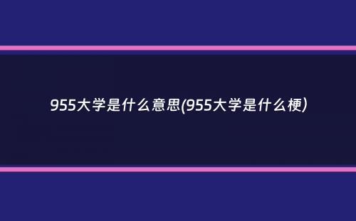 955大学是什么意思(955大学是什么梗）