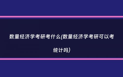 数量经济学考研考什么(数量经济学考研可以考统计吗）