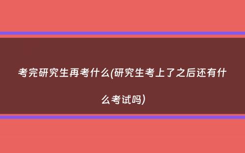 考完研究生再考什么(研究生考上了之后还有什么考试吗）