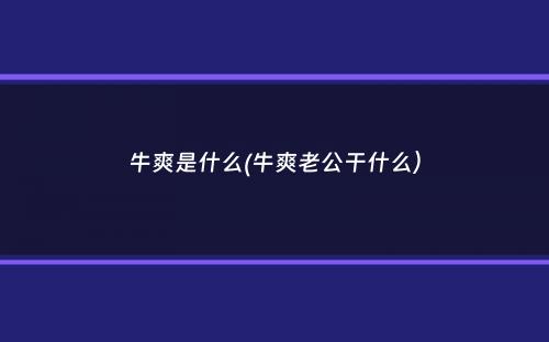 牛爽是什么(牛爽老公干什么）