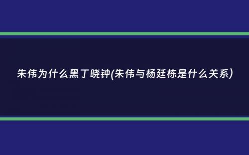 朱伟为什么黑丁晓钟(朱伟与杨廷栋是什么关系）