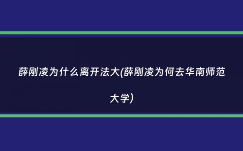 薛刚凌为什么离开法大(薛刚凌为何去华南师范大学）