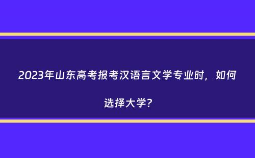 2023年山东高考报考汉语言文学专业时，如何选择大学？