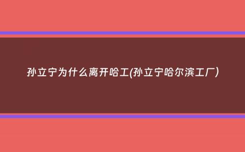 孙立宁为什么离开哈工(孙立宁哈尔滨工厂）