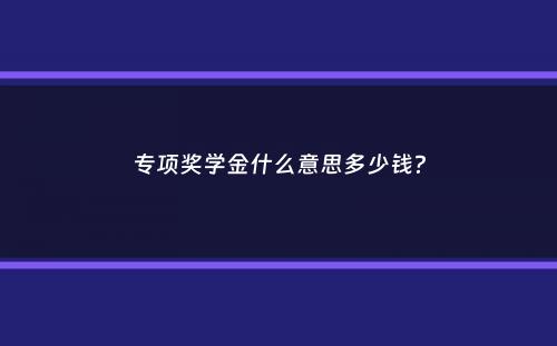 专项奖学金什么意思多少钱？