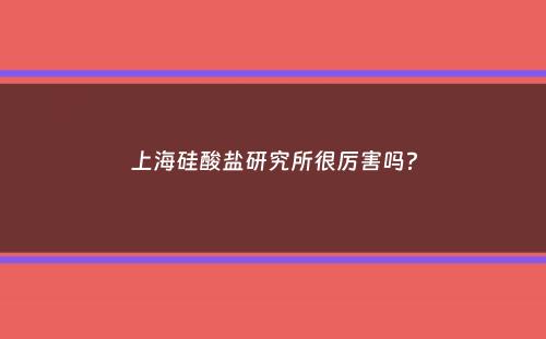 上海硅酸盐研究所很厉害吗？