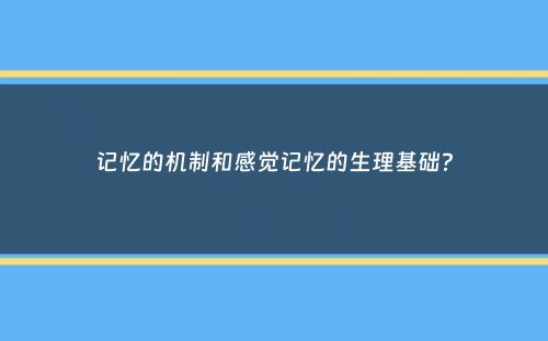 记忆的机制和感觉记忆的生理基础？